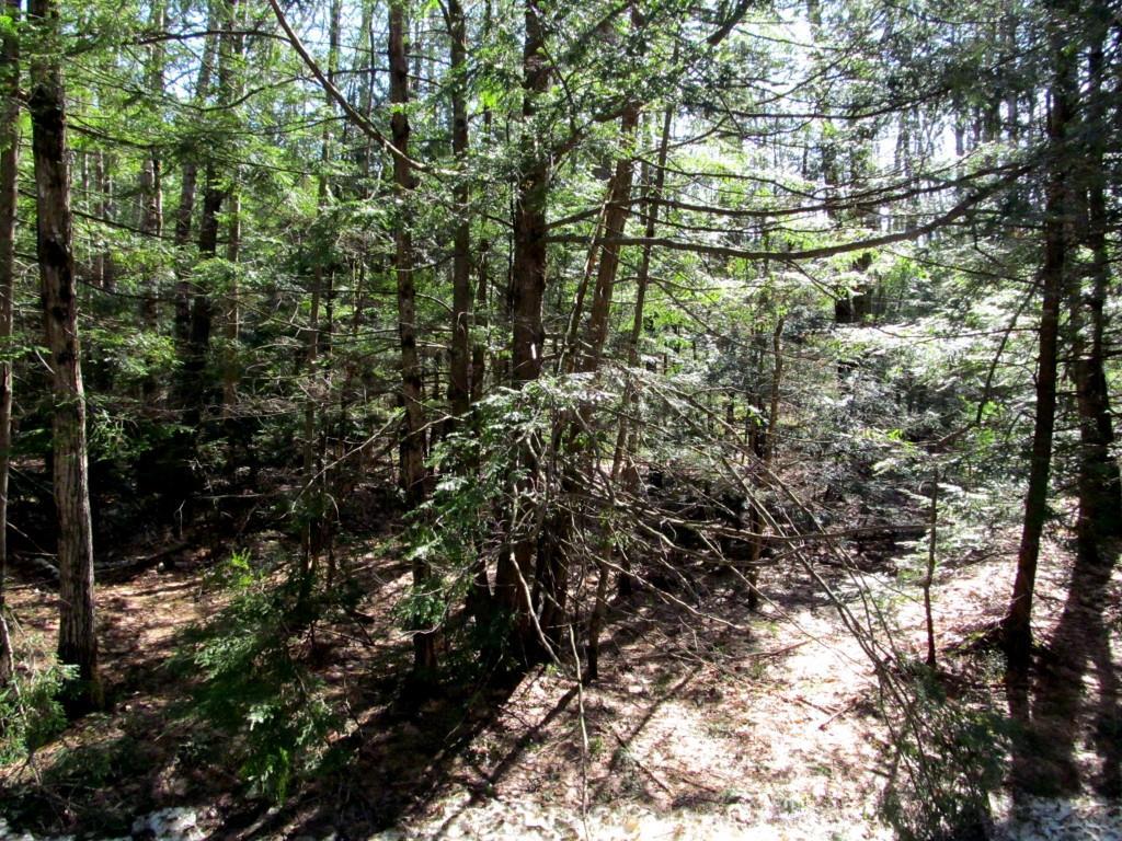 0 Lebanon Road North Berwick, ME 03906 - Photo 4 of 5 Photo