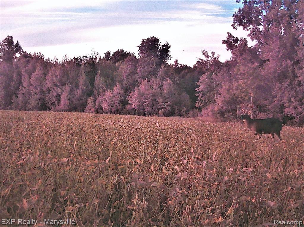 01 Goodells Road Goodells, MI 48027 - Photo 1 of 2