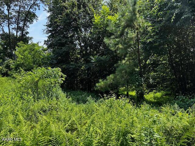 538 Two Mile Road Howard, PA 16841 - Photo 18 of 20