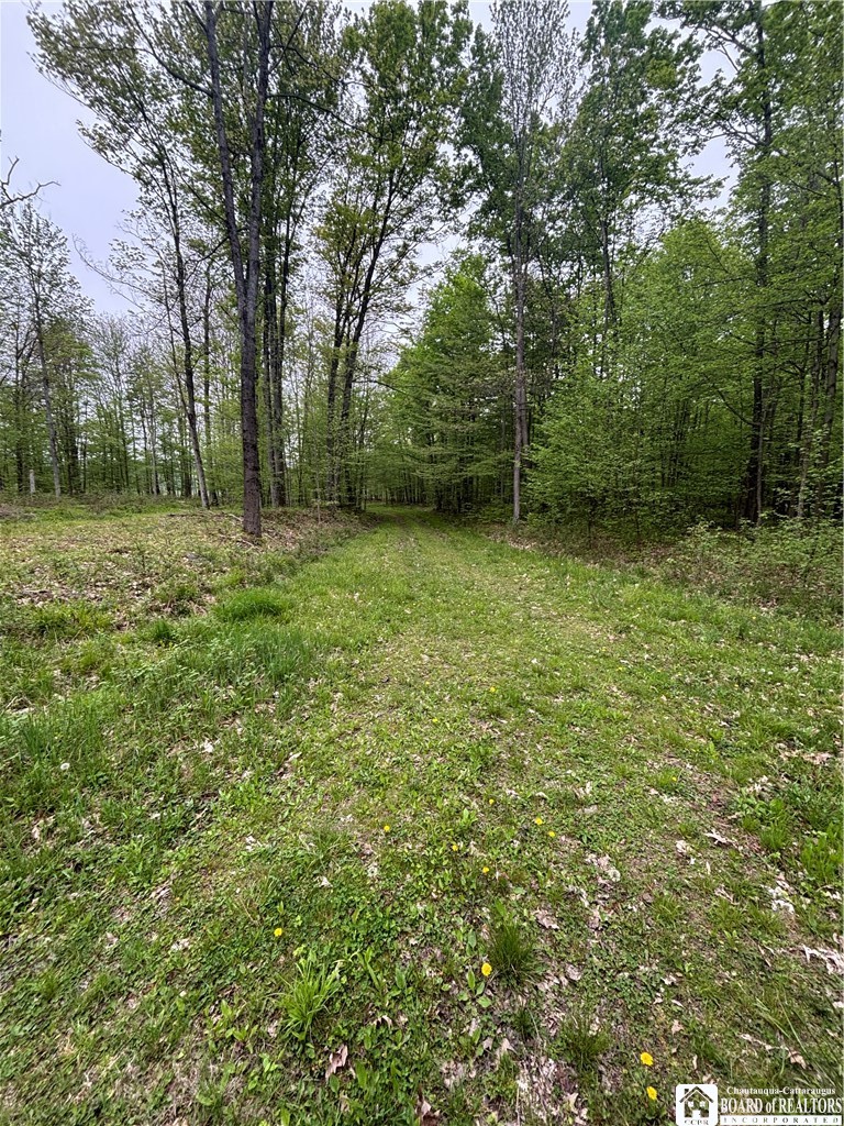 Fulmer Valley Road Wellsville, NY 14895 - Photo 38 of 49