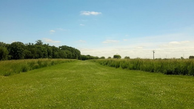 8225 Galena Road Bristol, IL 60512 - Photo 1 of 5 a view of a grassy field with trees