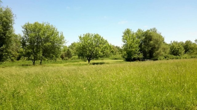 8225 Galena Road Bristol, IL 60512 - Photo 2 of 5 a view of outdoor space and yard