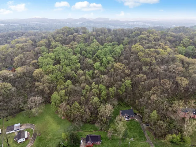 an aerial view of residential houses with outdoor space and trees