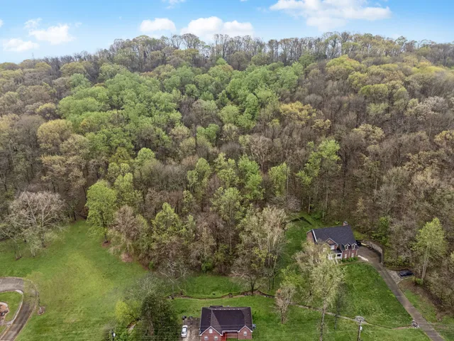 a view of a forest with a houses