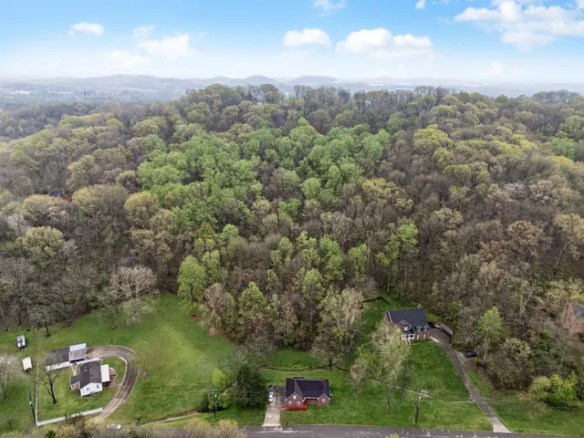 an aerial view of a town with residential houses
