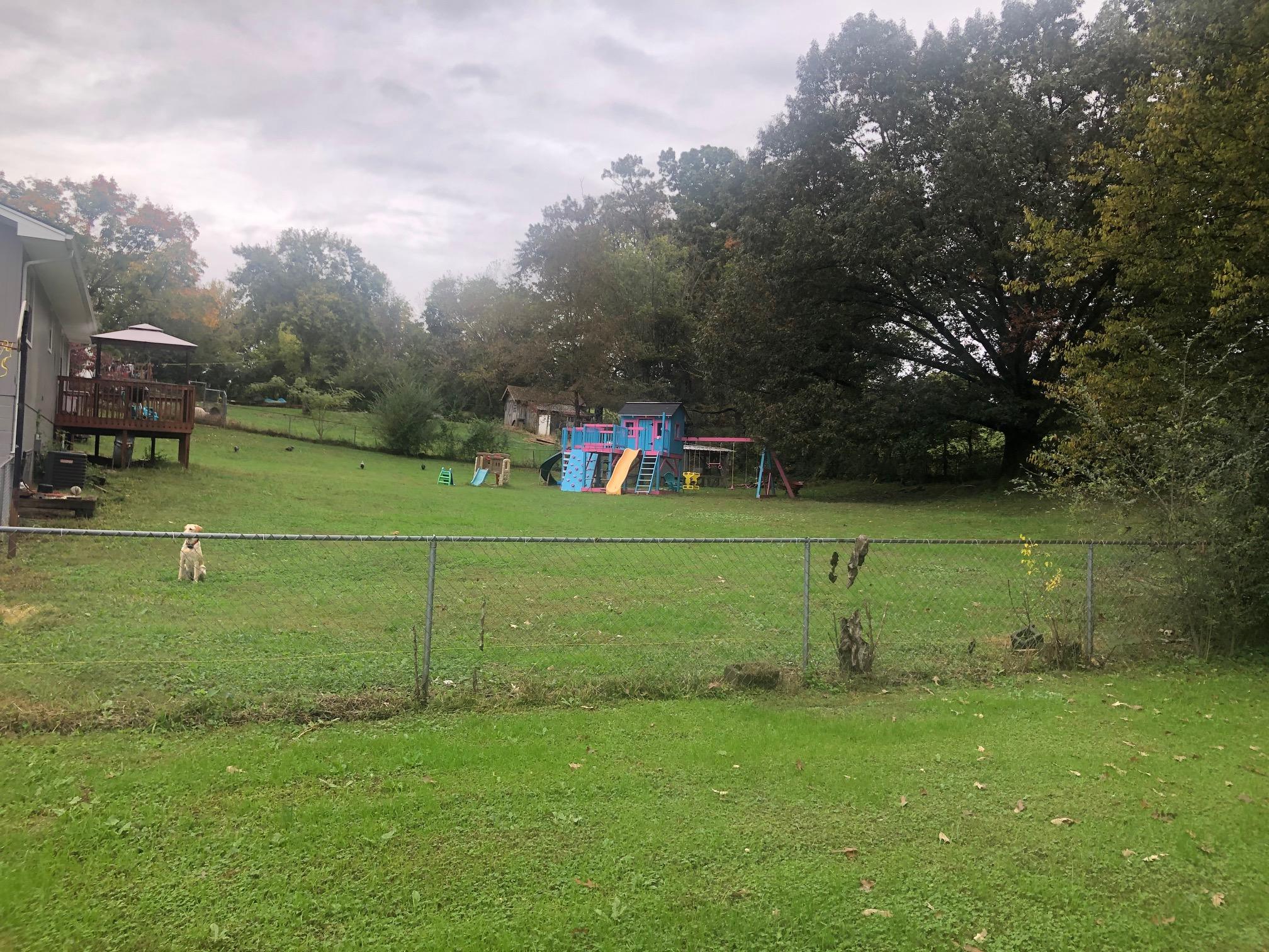 2631 Randall Road Strawberry Plains, TN 37871 - Photo 6 of 24 IMG_3906
