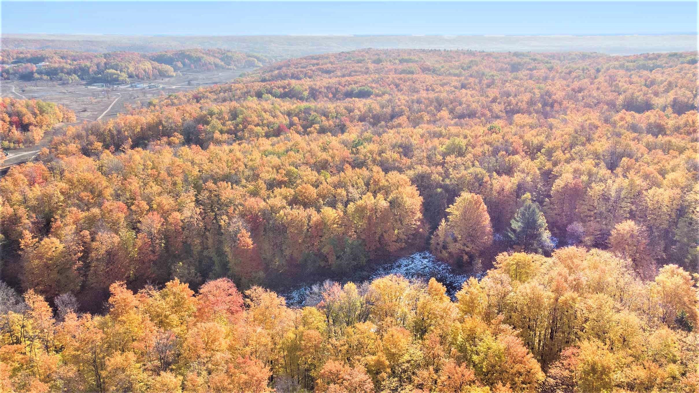 0 Twin Peaks Road Frederic, MI 49733 - Photo 8 of 35 Gallery Image 8
