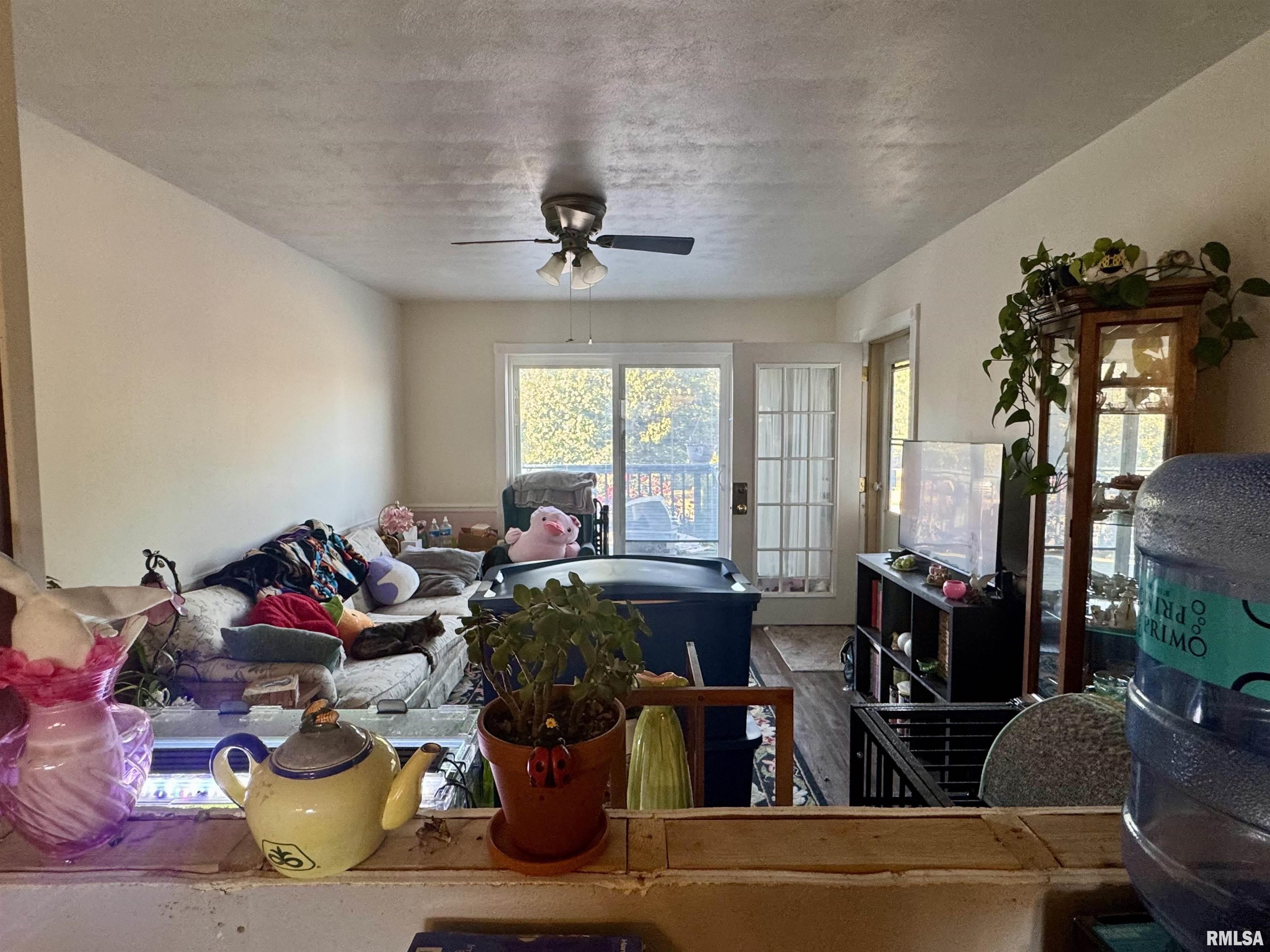 1140 East Myrtle Street Canton, IL 61520 - Photo 3 of 10