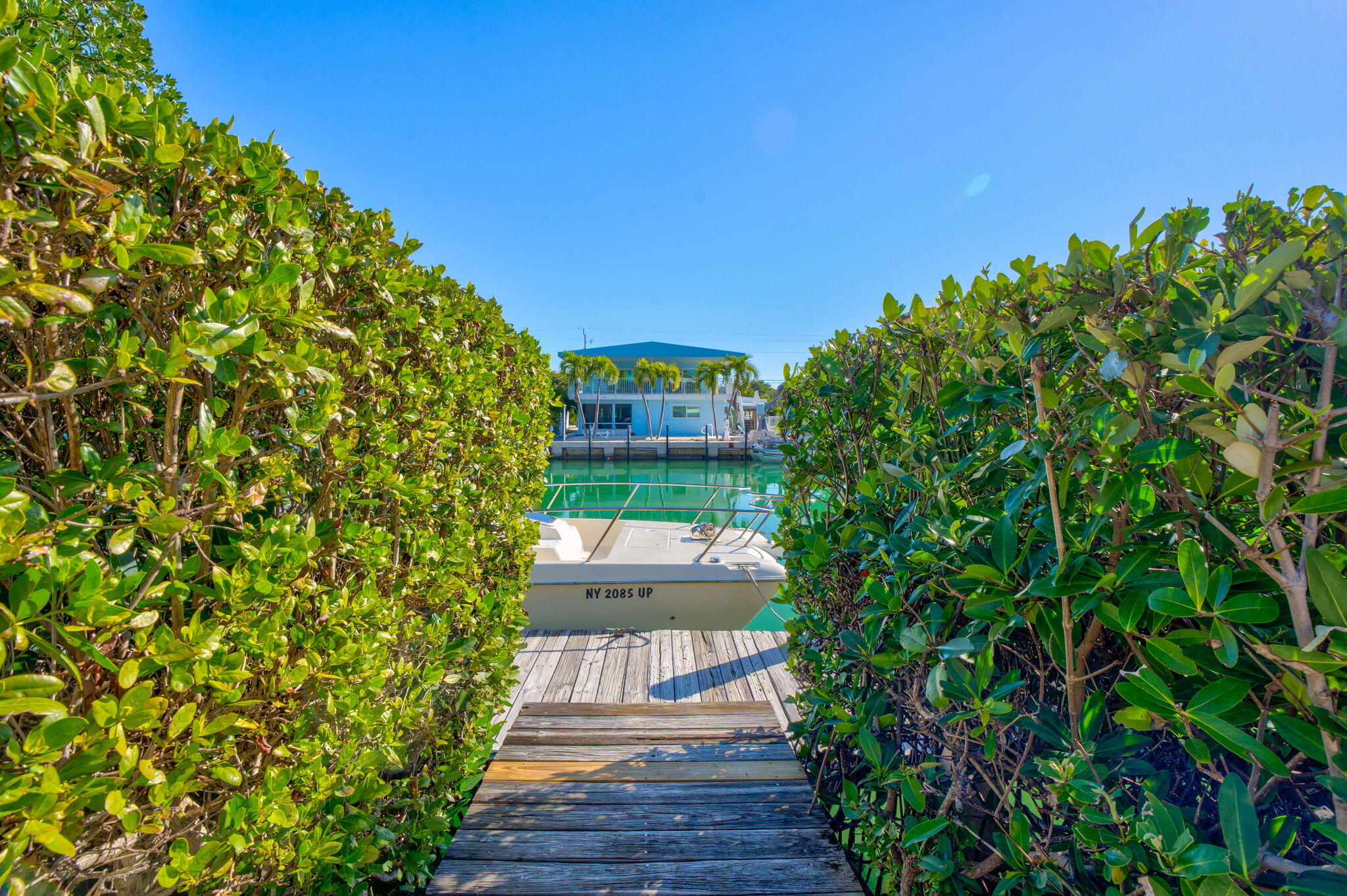 590 9th Street Key Colony Beach, FL 33051 - Photo 20 of 35 a view of a yard with plants