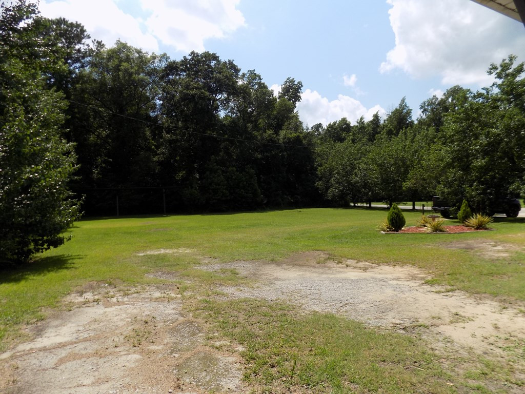 116 State Rd S-21-827 Olanta, SC 29114 - Photo 25 of 25