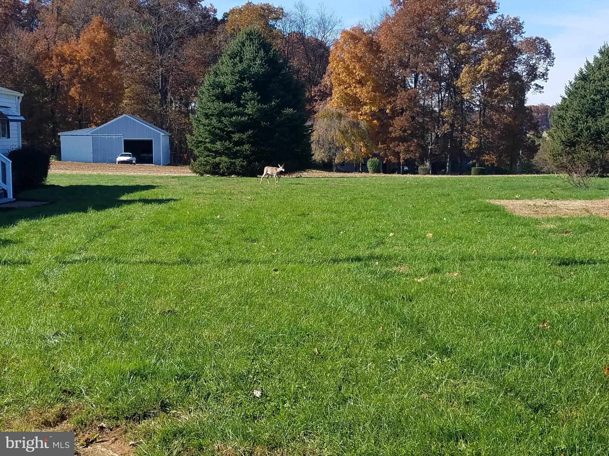 9294 Mead Hill Road Felton, PA 17322 - Photo 34 of 35 Deer in side yard. Fall 2018