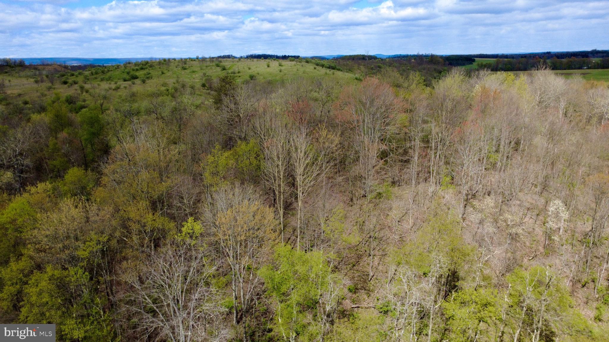 Lot On Caldwell Road Glen Richey, PA 16837 - Photo 2 of 10
