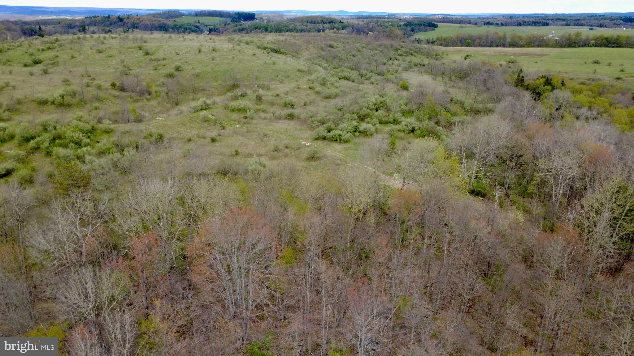 Lot On Caldwell Road Glen Richey, PA 16837 - Photo 3 of 10