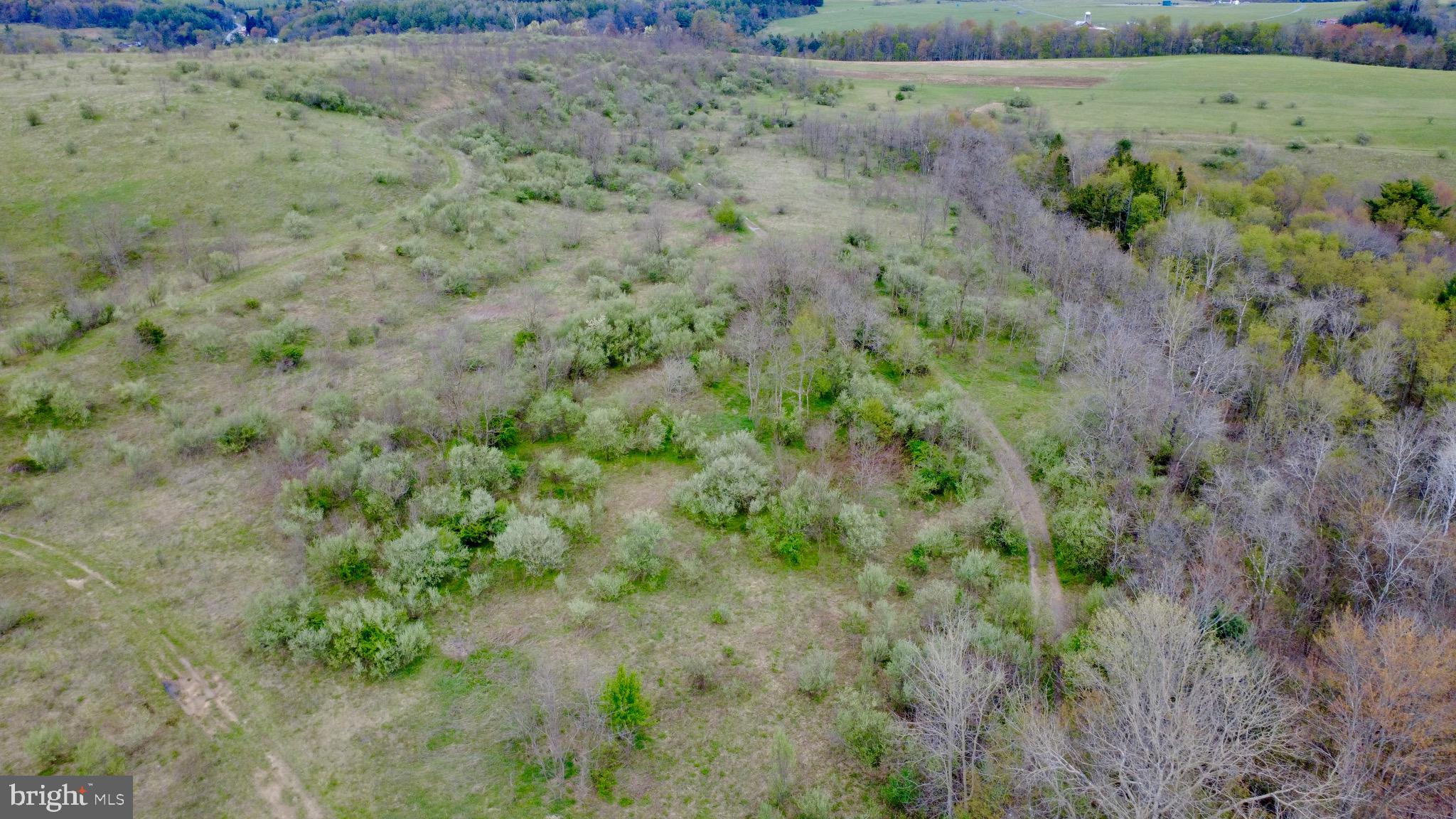 Lot On Caldwell Road Glen Richey, PA 16837 - Photo 4 of 10