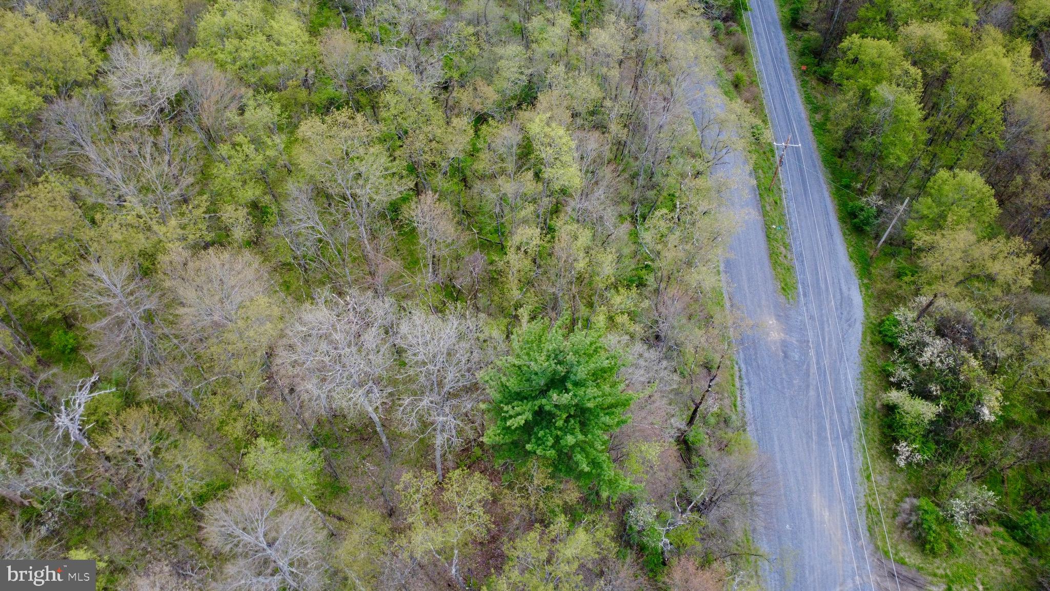 Lot On Caldwell Road Glen Richey, PA 16837 - Photo 5 of 10