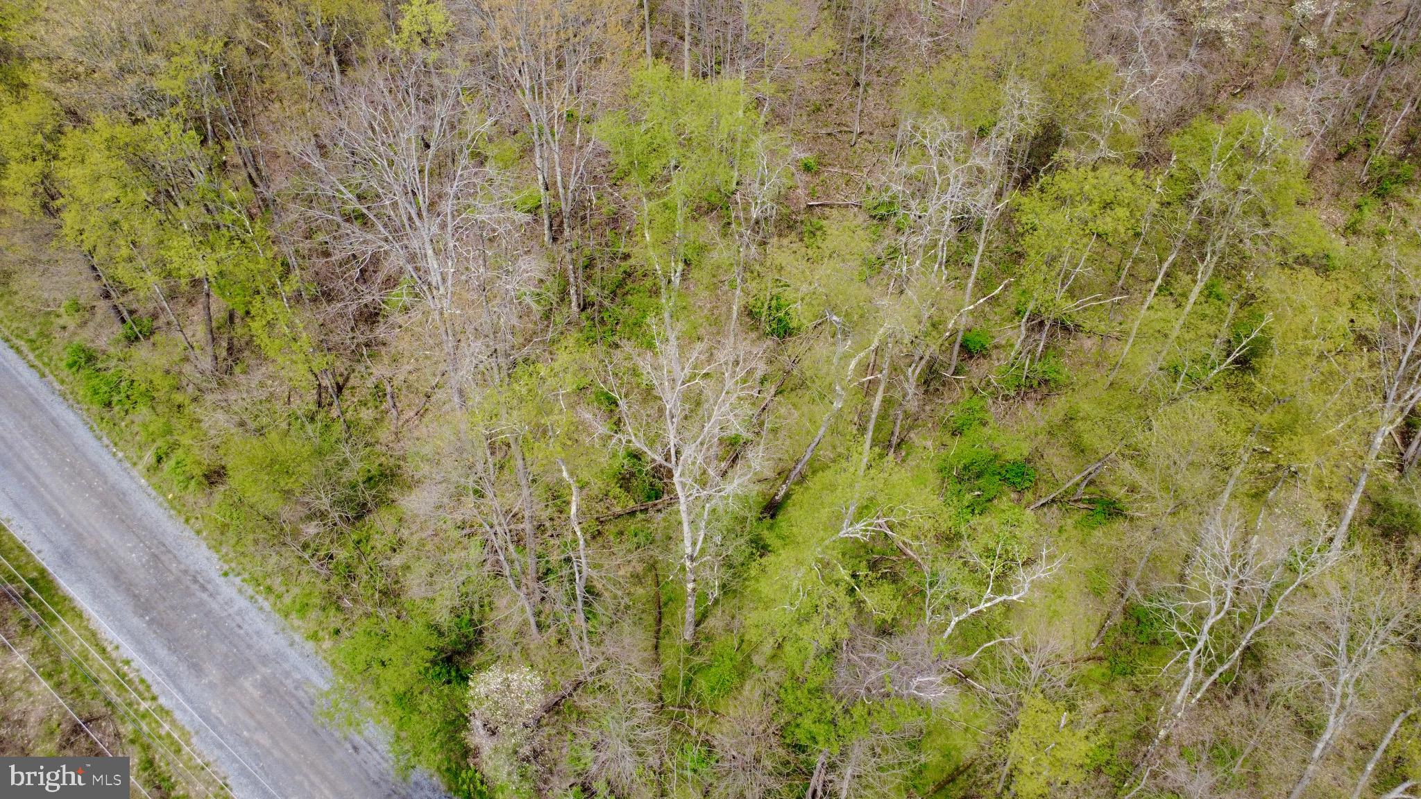 Lot On Caldwell Road Glen Richey, PA 16837 - Photo 6 of 10
