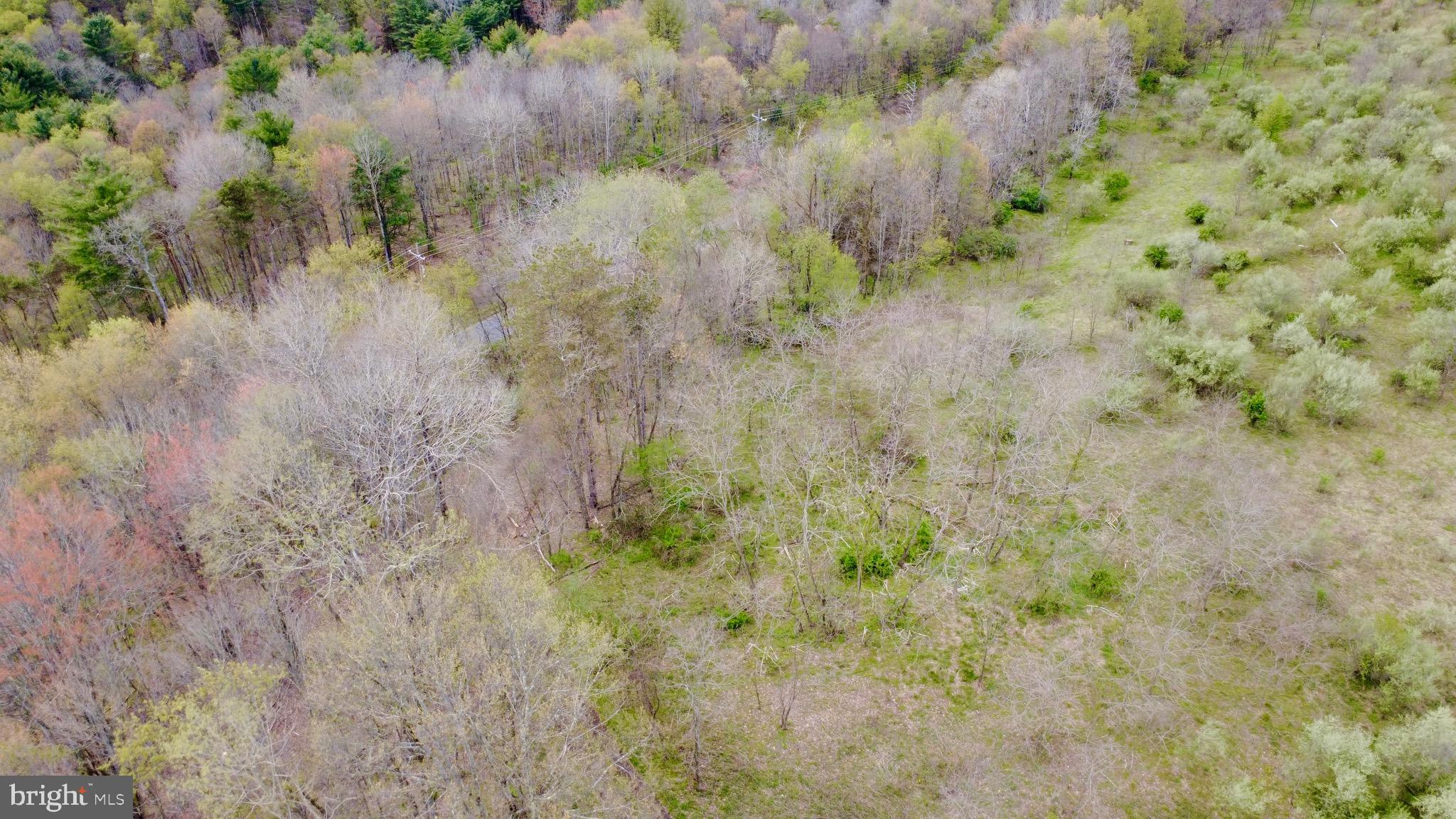 Lot On Caldwell Road Glen Richey, PA 16837 - Photo 7 of 10