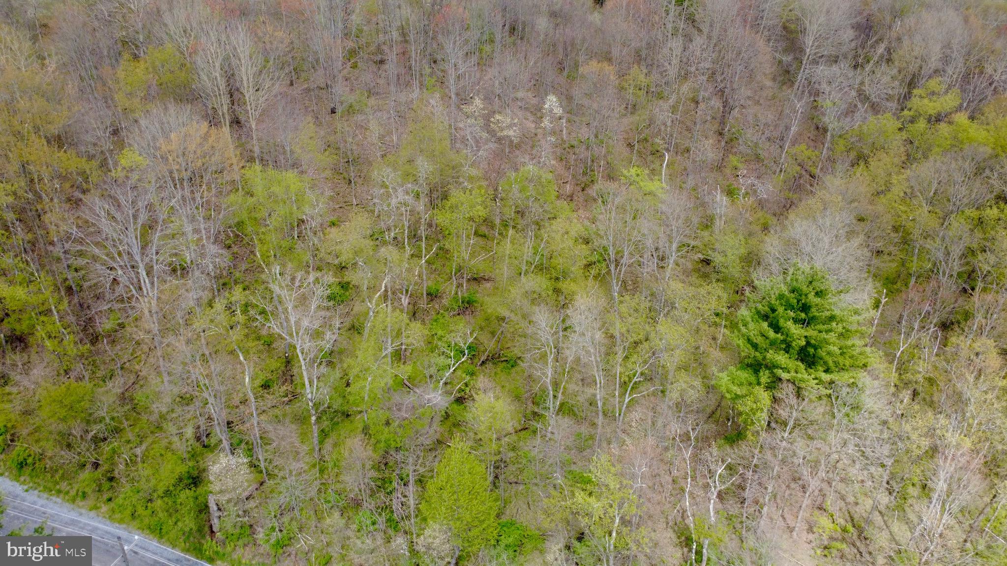 Lot On Caldwell Road Glen Richey, PA 16837 - Photo 8 of 10
