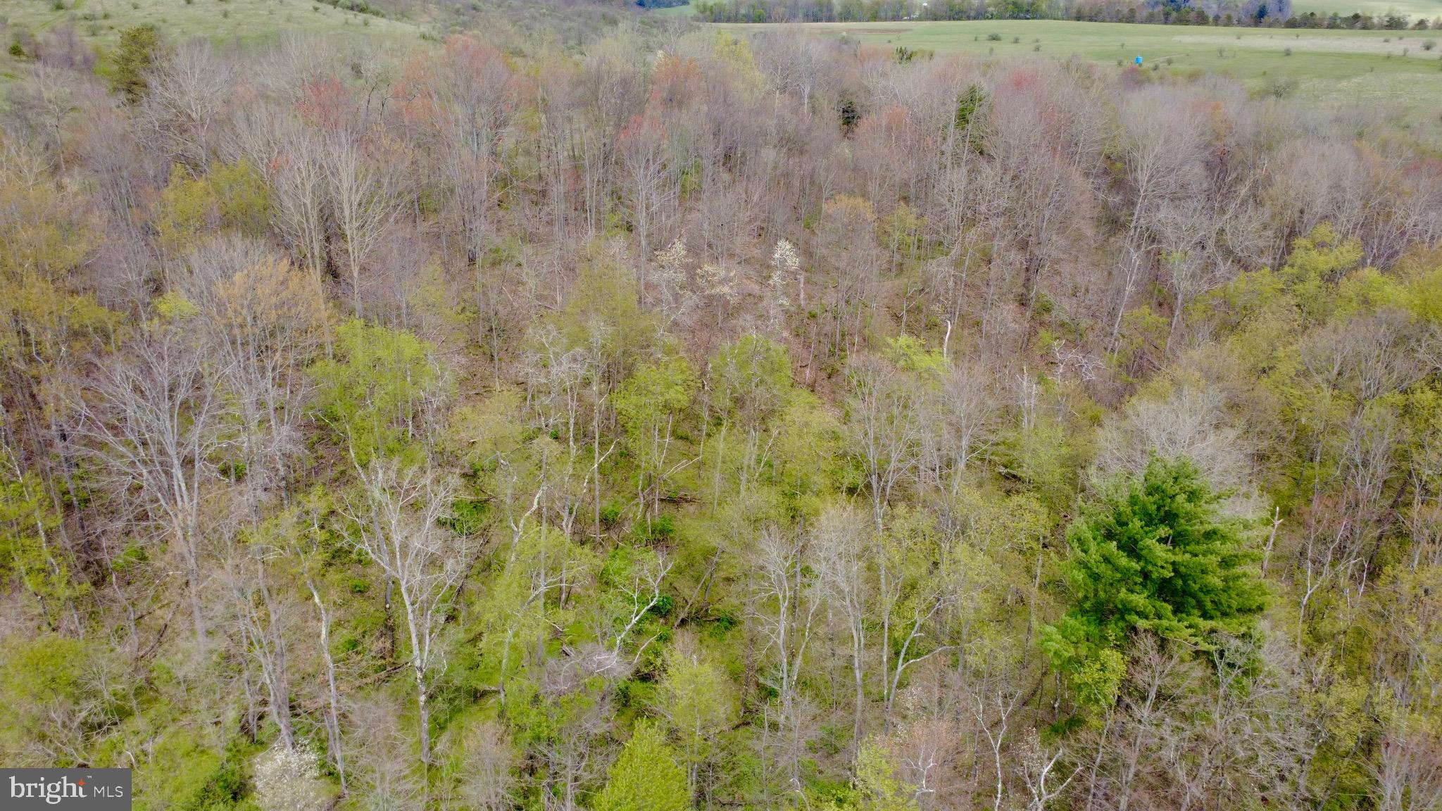 Lot On Caldwell Road Glen Richey, PA 16837 - Photo 9 of 10