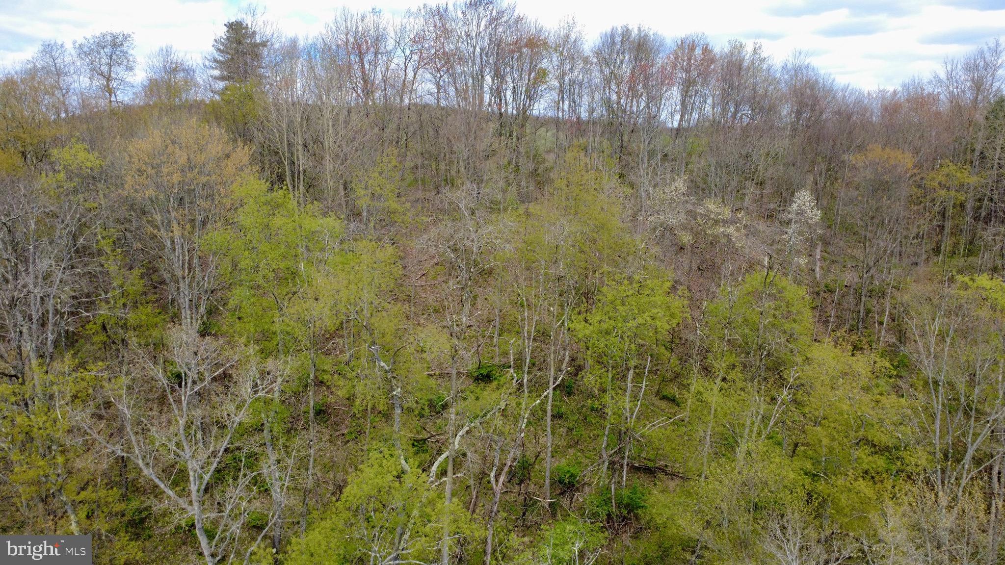 Lot On Caldwell Road Glen Richey, PA 16837 - Photo 10 of 10