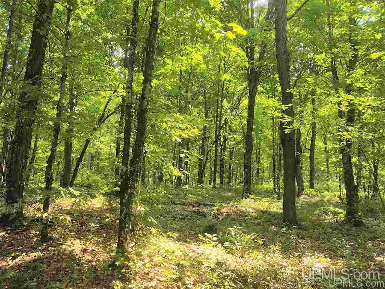 Tbd Connors Road Iron River, MI 49935 - Photo 1 of 34