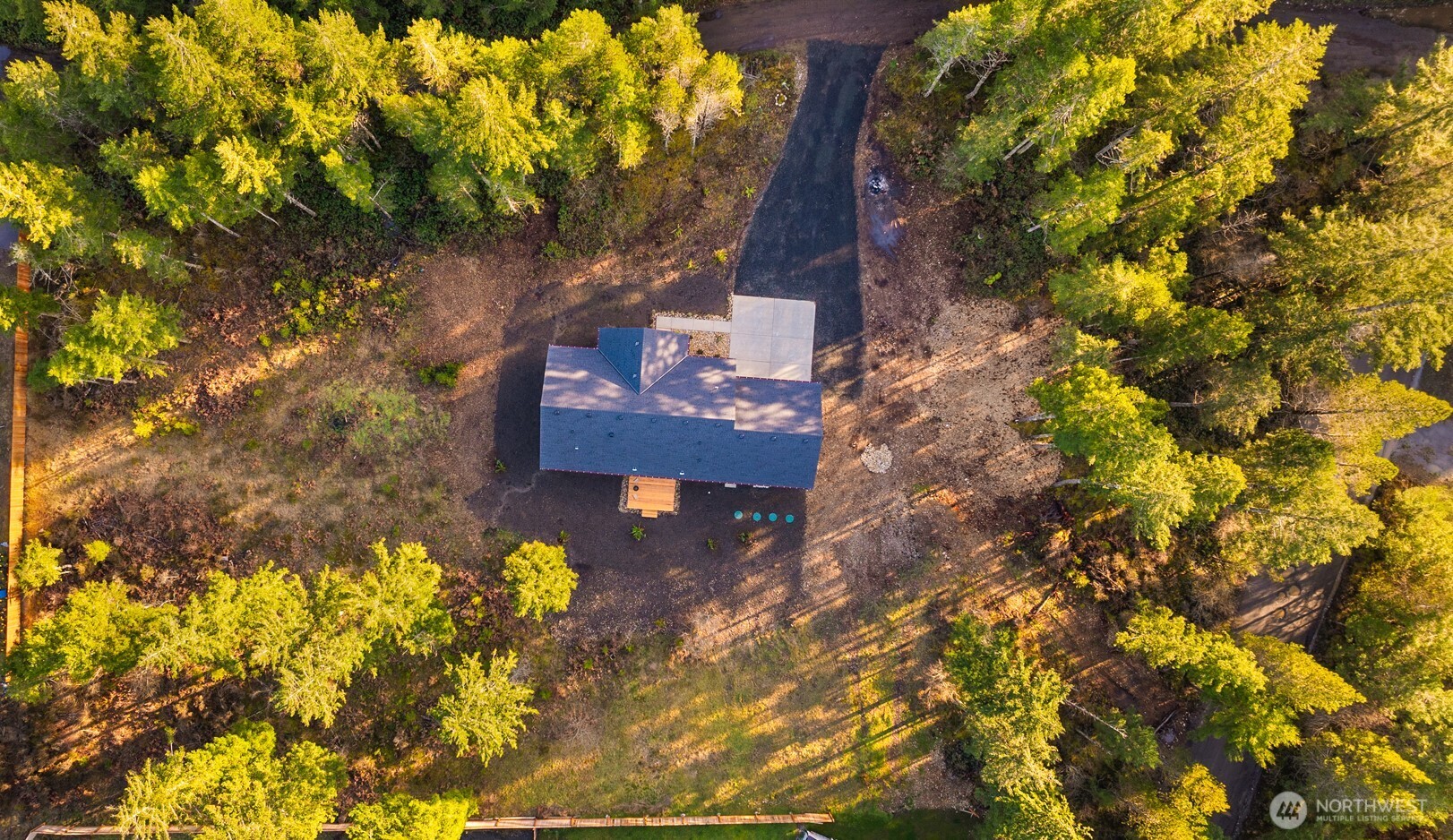 3000 West Martin Road Shelton, WA 98584 - Photo 36 of 38 a picture of trees