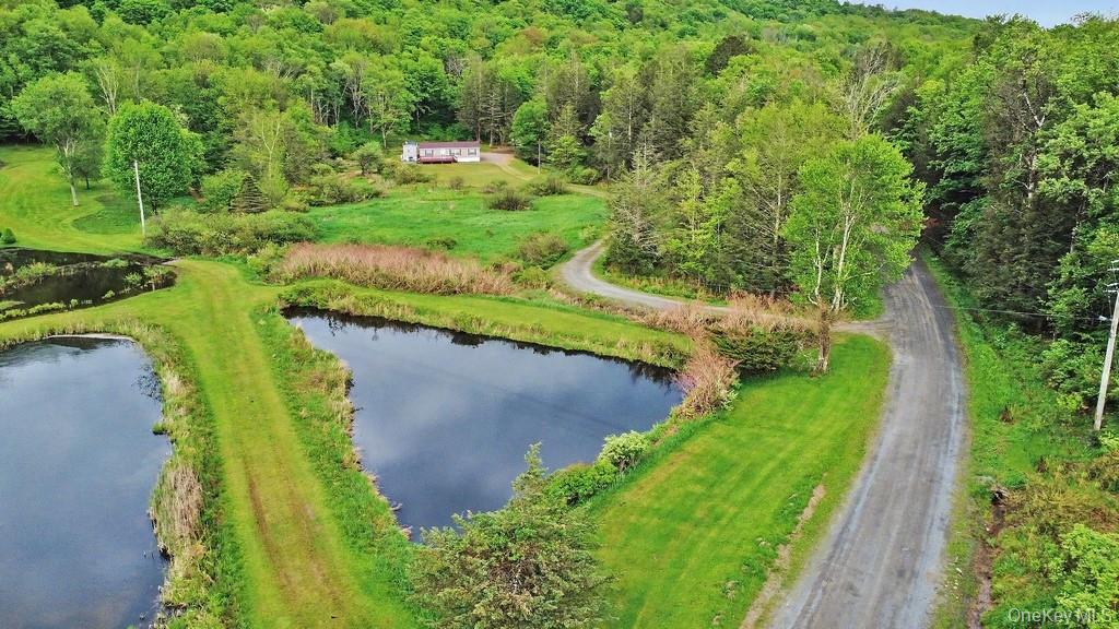 308 William Brown Road Fremont, NY 12741 - Photo 2 of 33 a view of a pathway both side of yard