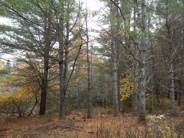 Lot 13-g West Bay Road Prospect Harbor, ME 04669 - Photo 19 of 20 Photo