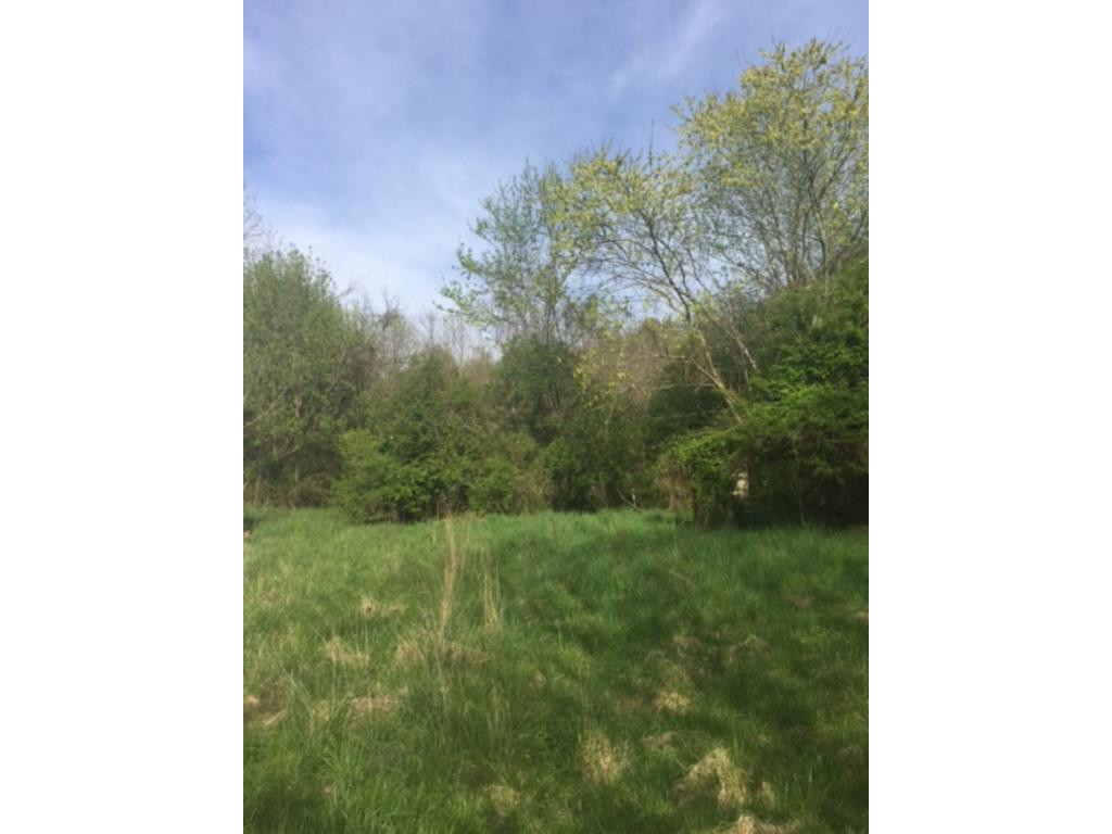 1140 Qualls Road Kingsport, TN 37660 - Photo 1 of 1 Photo 1