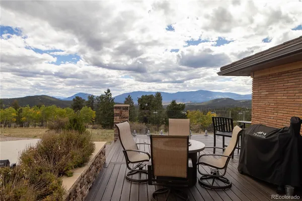 a view of a forest with a mountain