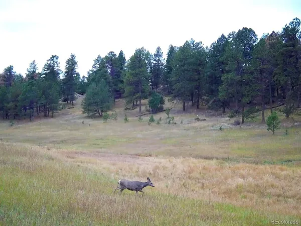 a view of a swimming pool with sitting area
