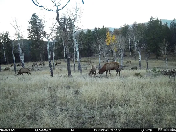 a view of lake and mountain