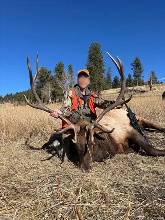 a view of a backyard of a house