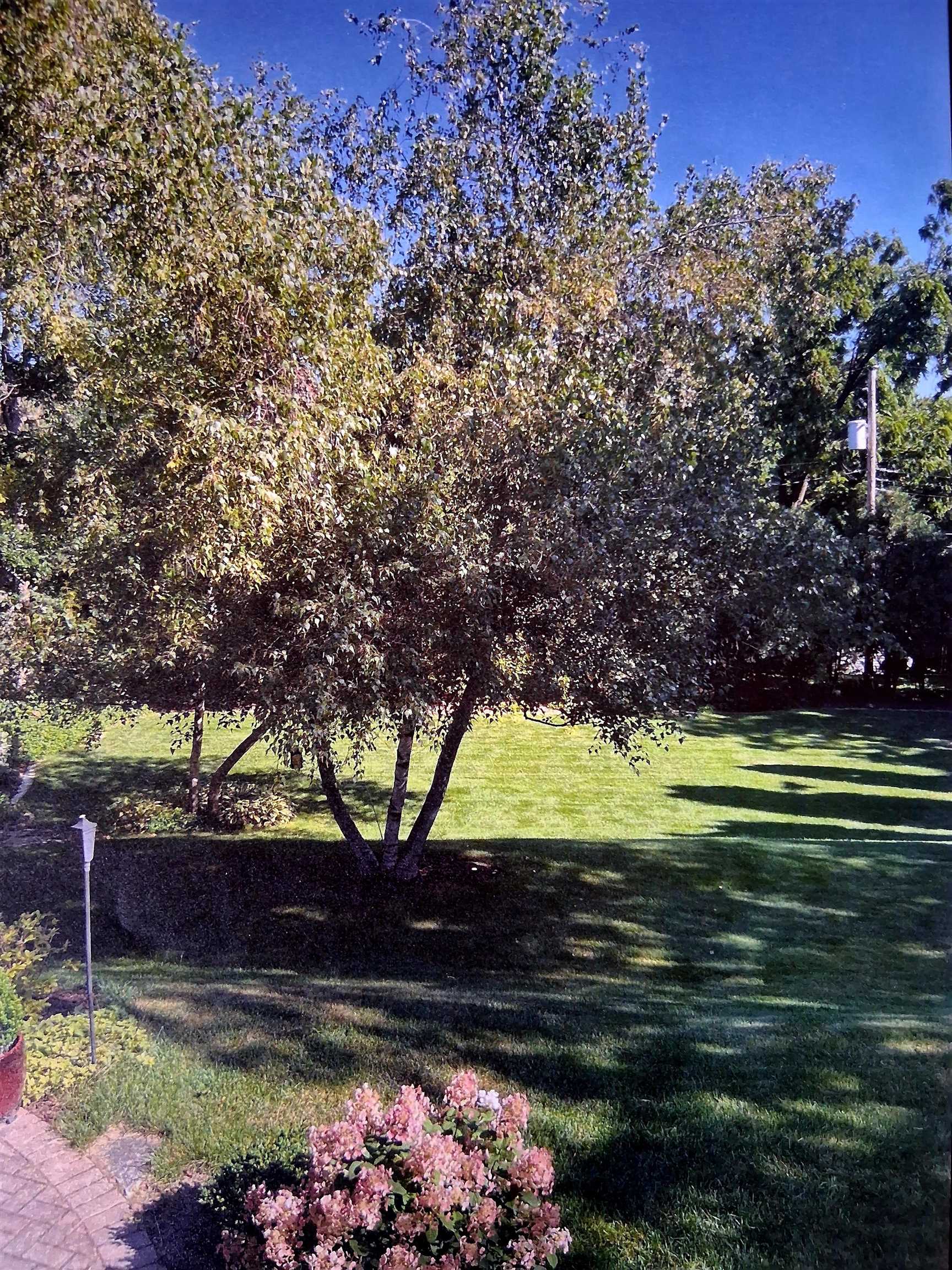 3618 Spring Street Madison, WI 53711 - Photo 67 of 67