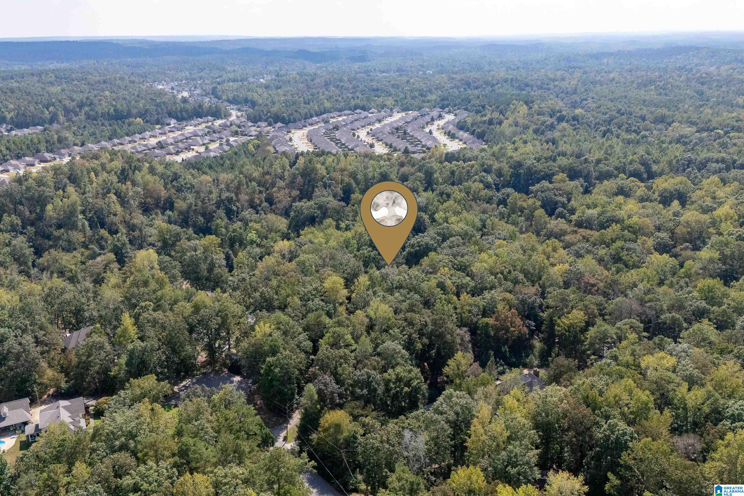 108 Oak View Lane Helena, AL 35080 - Photo 59 of 65