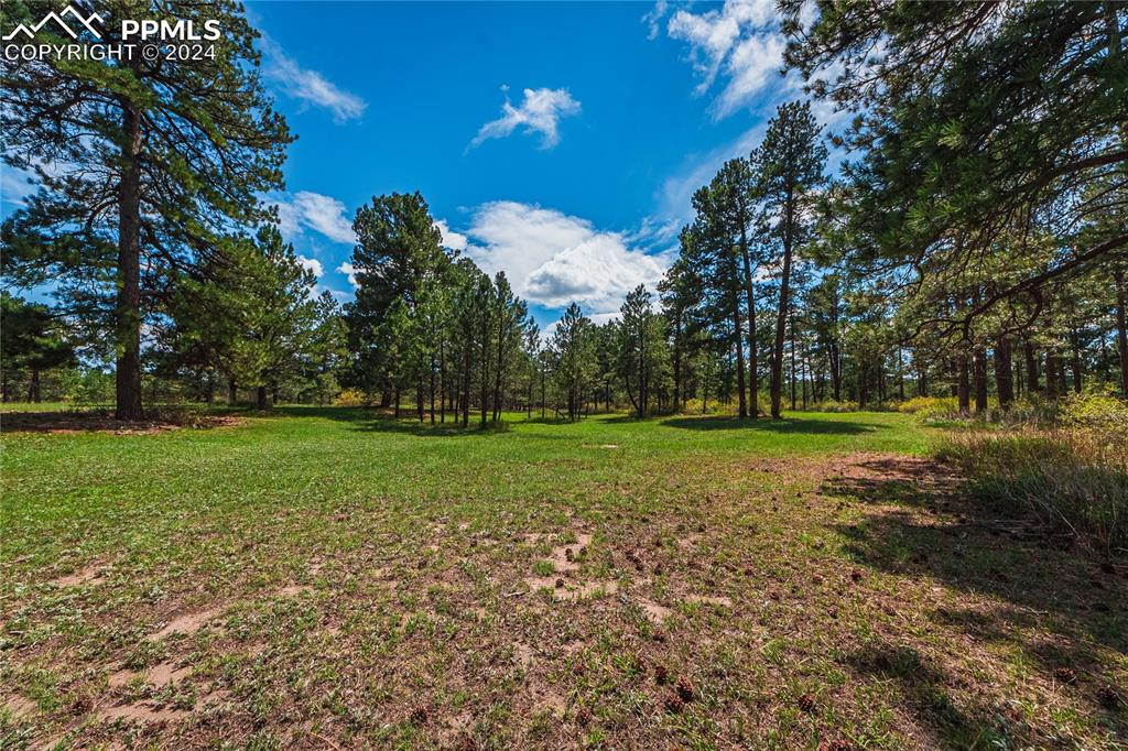 12810 Pommel Circle Elbert, CO 80106 - Photo 33 of 47 a view of yard with green space