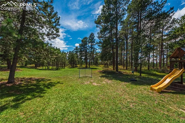 a view of a park with tree s