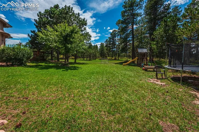 a view of a park with large trees