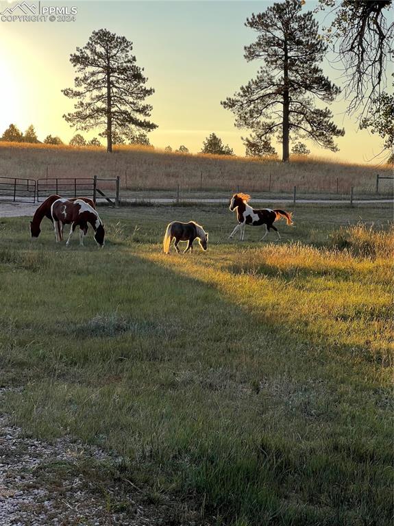 12810 Pommel Circle Elbert, CO 80106 - Photo 43 of 47 a view of outdoor space with deck and backyard
