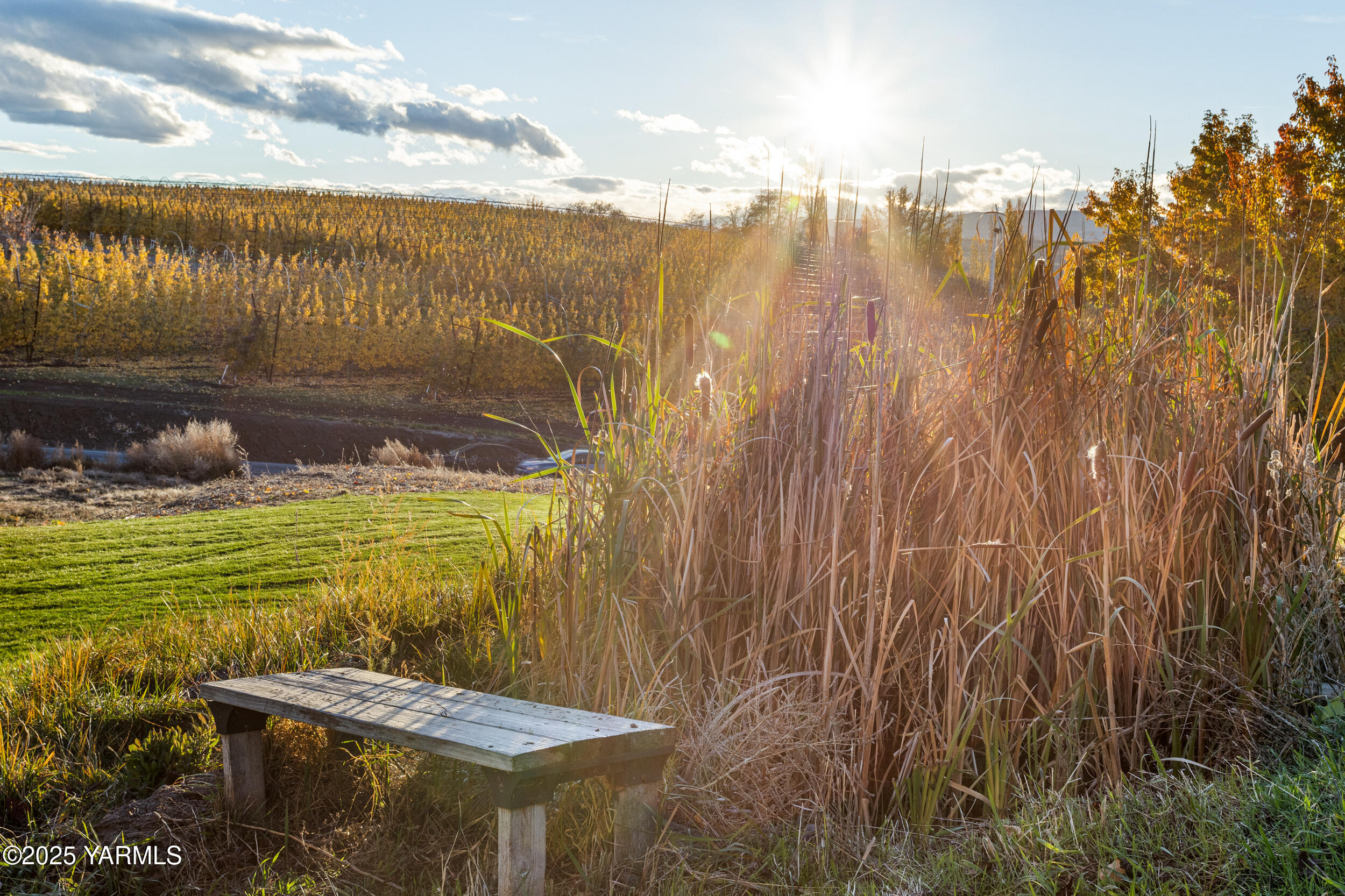 731 Selah Naches Road Selah, WA 98942 - Photo 41 of 44 a view of a yard with an outdoor space