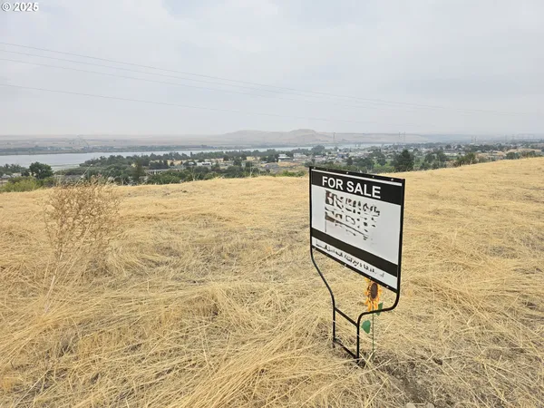a view of an ocean beach