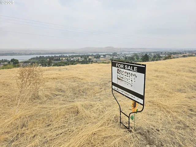 a view of an ocean beach