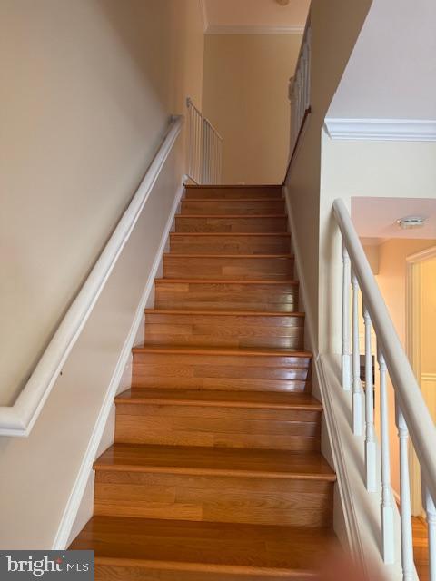 6358 Shaundale Drive Springfield, VA 22152 - Photo 23 of 54 a view of entryway