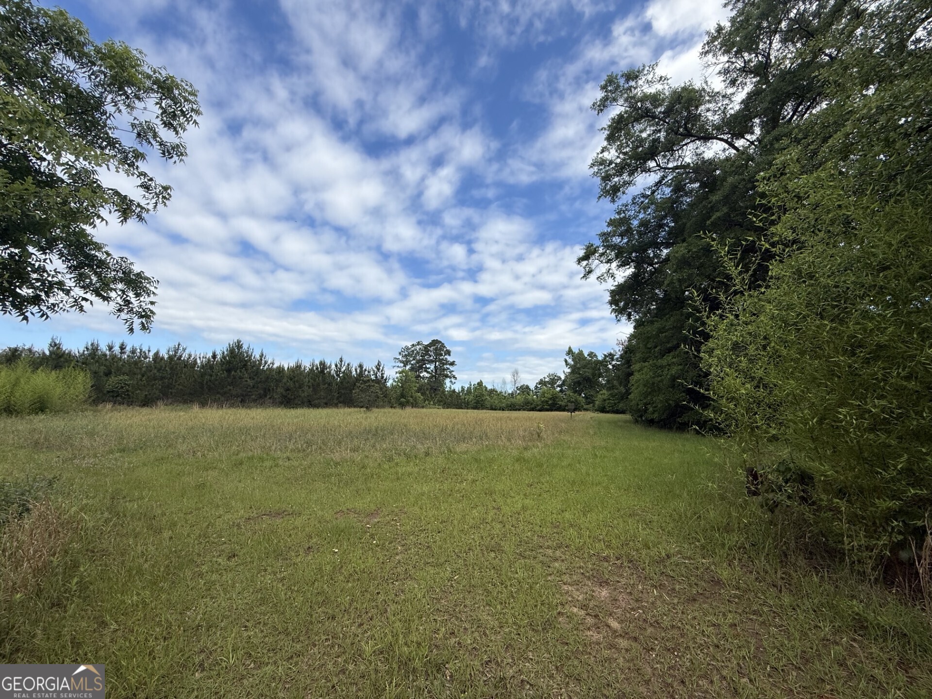 50 Harvest Road Coleman, GA 39836 - Photo 19 of 37 a view of lake with green space