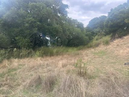 a view of a lake view