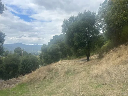 a view of a yard with a tree