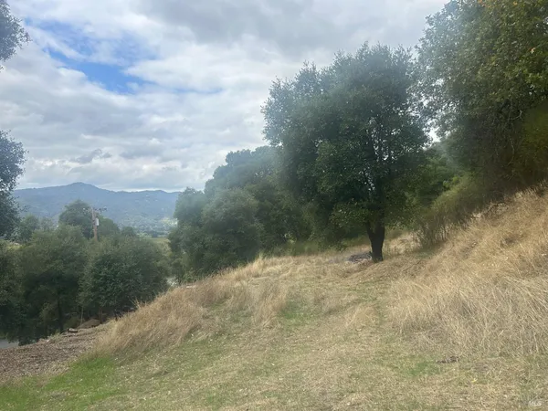 a view of a yard with a tree