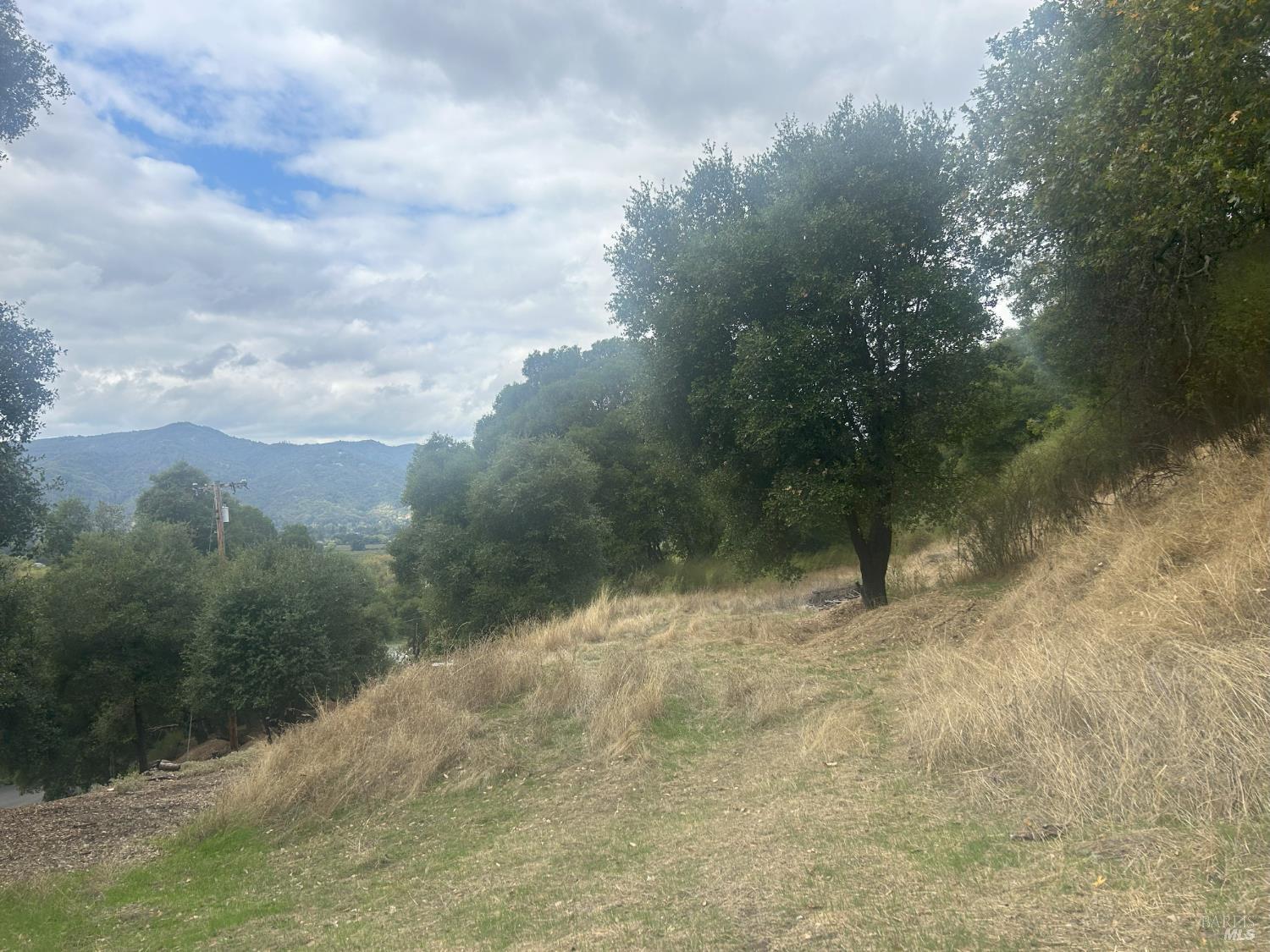 1320 Sanford Ranch Road Ukiah, CA 95482 - Photo 4 of 4 a view of a yard with a tree