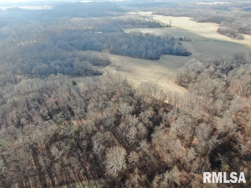 0 East Clark Road Marshall, IL 62441 - Photo 11 of 19