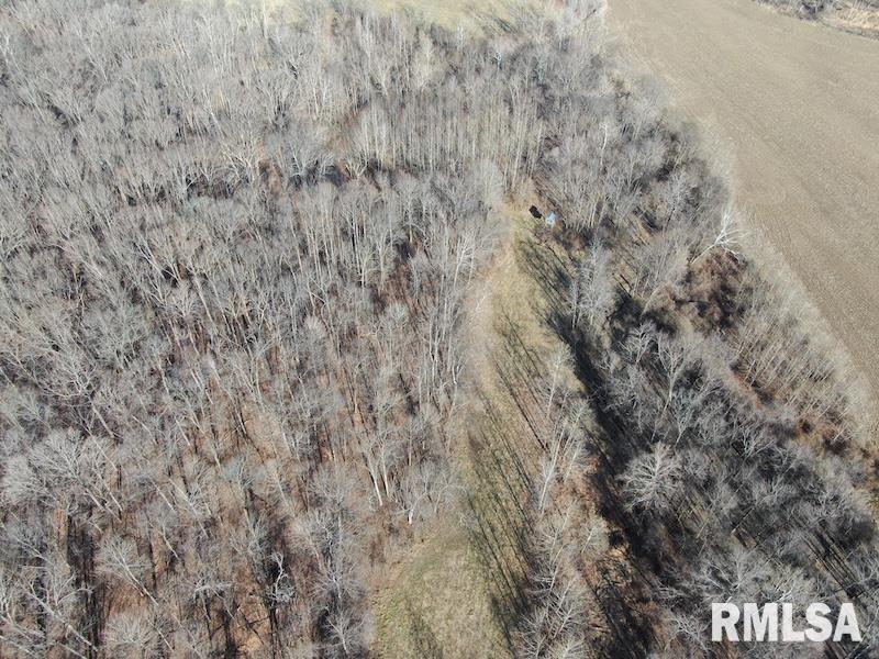 0 East Clark Road Marshall, IL 62441 - Photo 12 of 19